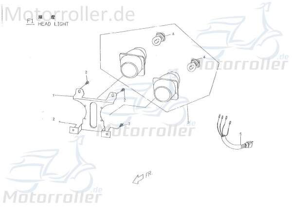 PGO Tornado 50 Halter Scheinwerfer Befestigung Halterung 50ccm 2Takt P1665010000 Motorroller.de Haltebügel Halteblech Halte-Blech Halte-Bügel Scooter