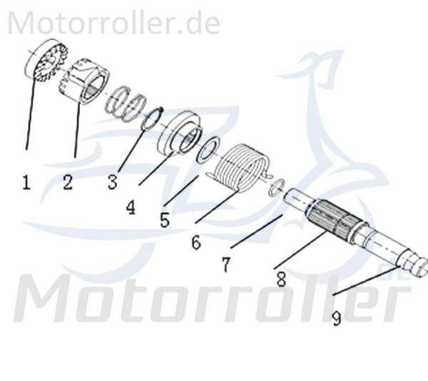 ScheibexI Scooter Roller Scheibexl 733100 Motorroller.de Moped Ersatzteil Service Inpektion Direktimport