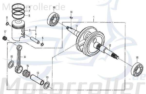 Schlauchklemme GZ/SJ Spannring Daelim E-Five 50 50ccm 2Takt Motorroller.de Schelle Clip Klemmschelle Schlauchbinder Klemm-Schelle Schlauch-Schelle