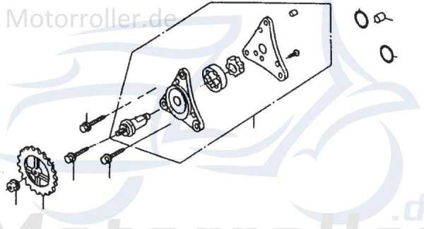 Ölpumpenantriebsrad Ritzel 86196