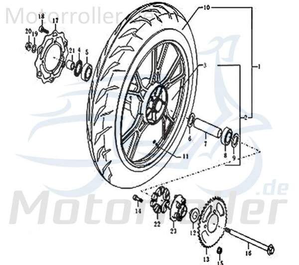 Kreidler Supermoto 125 DD Lager Kettenträger 6305-2RS 91585 Motorroller.de Kugellager Rollenlager Radlager Motorrad SM 125i Pro Moped Ersatzteil