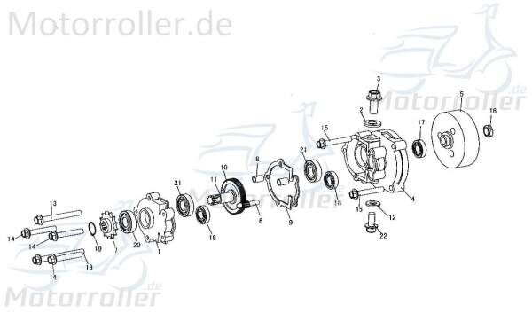 Kugellager 102 Tongjian GB276-82102 Motorroller.de