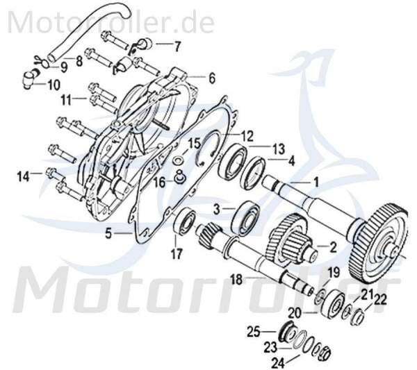 Jonway Insignio 250 DD Anlaufscheibe 250ccm 4Takt 150173000000 Motorroller.de Durchmesser 14mm Spannscheibe Zwischenscheibe Anlauf-Scheibe Scooter