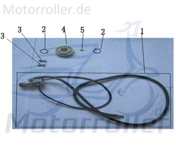 Sechskantschraube M5x16mm Jonway Florett 2.0 50 City 741156 Motorroller.de Befestigung Halter Halterung Flachkopfschraube Sechskant-Schraube Scooter