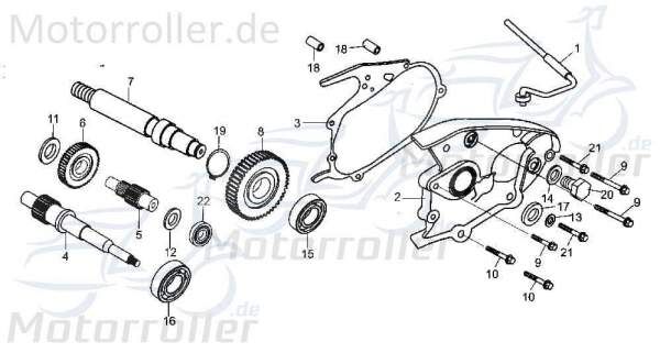 Entlüftungsrohr Tongjian Strassenbuggy 250 I+II 250ccm 4Takt Motorroller.de 250ccm-4Takt Ersatzteil Service Inpektion Direktimport