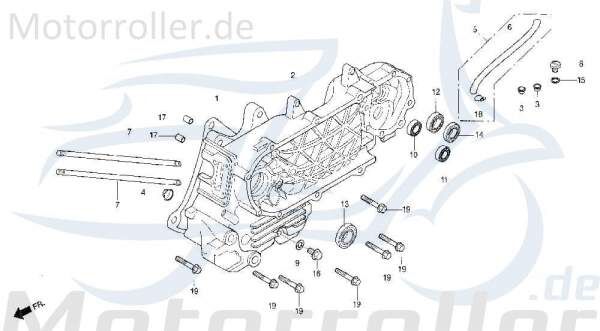 Schlauch Entlüftung Kurbelgehäuse links Daelim 125ccm 4Takt Motorroller.de Leitung Entlüftungsschauch 125ccm-4Takt Scooter Otello 125 NS 125 Service