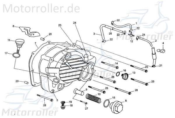 Clip Tongjian Strassenbuggy 250 Sport Klemme 250ccm 4Takt Motorroller.de Klammer Schelle Klemmschelle Befestigungsschelle Halteklammer Schraubschelle