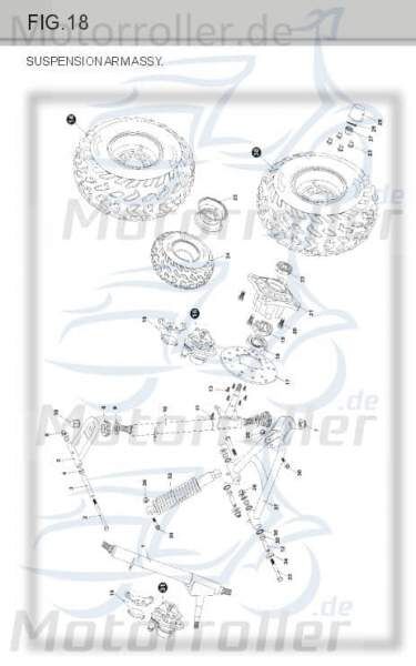 Querlenker oben Radaufhängung Tongjian Strassenbuggy 150 250 4.000.004 Motorroller.de Eppella ECM TBM Twister Hammerhead Wangye Kasea Buggy