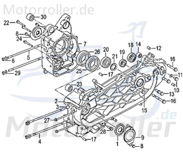 Kreidler Insignio 125 2.0 Sechskantschraube 125ccm 4Takt 150022000000 Motorroller.de M8x16mm Befestigung Halter Halterung Flachkopfschraube Scooter