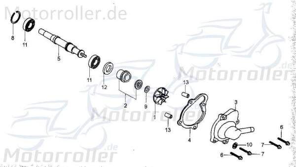 Bundschraube M6x40mm Tongjian Maschinenschraube 250ccm 4Takt Motorroller.de Flanschschraube Flansch-Schraube Maschinen-Schraube Bund-Schraube Buggy