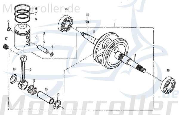 Schlauchklemme GZ/SJ Spannring Daelim Tapo 50 50ccm 2Takt Motorroller.de Schelle Clip Klemmschelle Schlauchbinder Klemm-Schelle Schlauch-Schelle