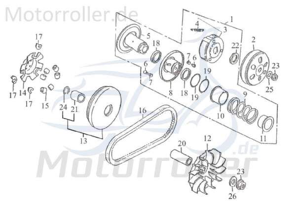 Kreidler F-Kart 170 Fliehkraftrollen 170ccm 4Takt 10312318 = 6 Stück Motorroller.de Vario-Rollen Variomatik-Gewichte Variorollen Variogewichte Service