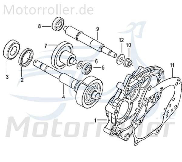 Kreidler Insignio 125 2.0 Simmerring 125ccm 4Takt 150062000000 Motorroller.de 40x55x7mm Radialdichtring Simmering Wellendichtring Abdichtring Scooter