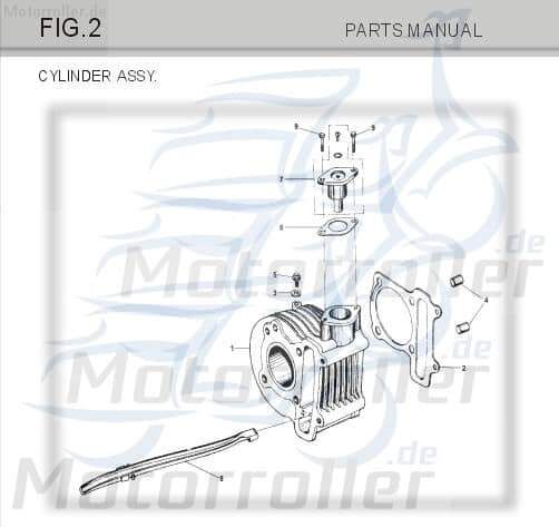 Bundschraube M6x12-ZN.Dmm Tongjian Buggy 150ccm 4Takt Motorroller.de Maschinenschraube Flanschschraube Flansch-Schraube Maschinen-Schraube Ersatzteil