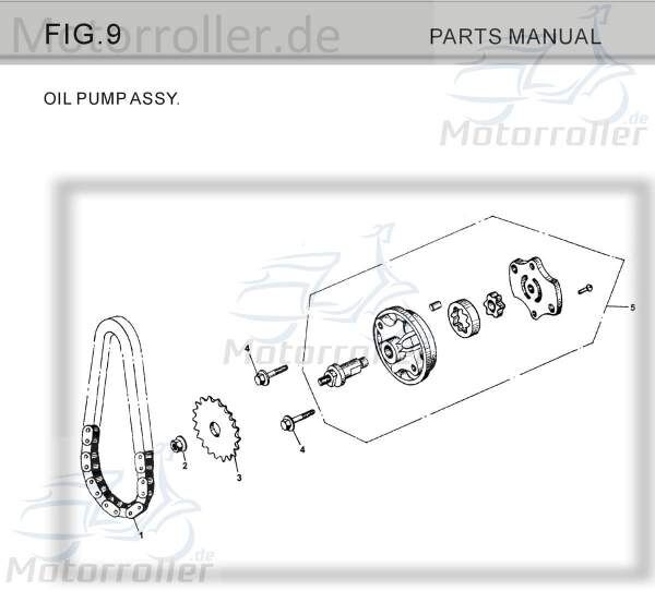 Kette TBM Buggy 150 Antriebskette Nockenwellenkette GY6-801 Motorroller.de Steuerkette 150ccm-4Takt Strassenbuggy 150 I Ersatzteil Service Inpektion