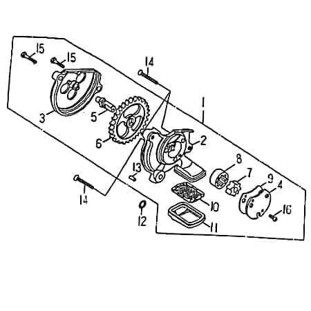 SMC Sechskantschraube M6x32mm Barossa Halter ATV 250ccm 4Takt Motorroller.de Befestigung Halterung Flachkopfschraube Sechskant-Schraube Bundschraube