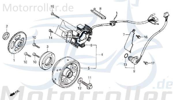 Lichtschalter Leerlauf VC/VS Daelim VS 125 Knopf 125ccm 4Takt Motorroller.de Ausschalter Einschalter Scheinwerferschalter Licht-Schalter 125ccm-4Takt