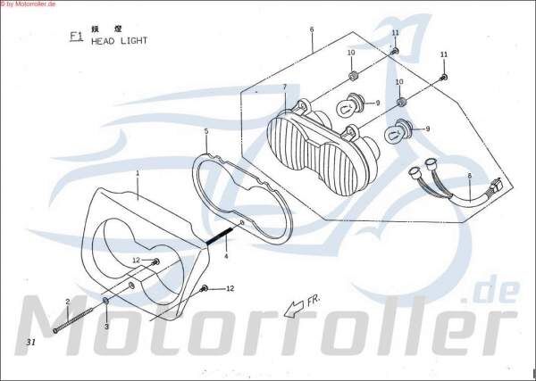 PGO Glühbirne 12V Big Max 50 Glühlampe Roller 50ccm 2Takt Motorroller.de Glassockellampe Innenleuchte Standlichtbirne Leuchtmittel Glüh-Birne Scooter