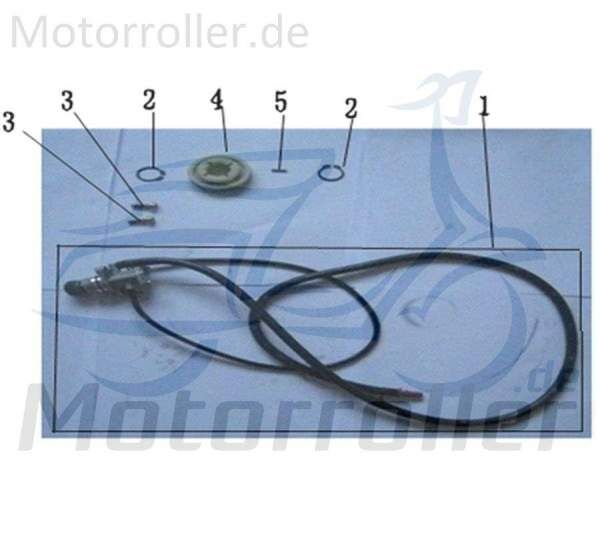 ZNEN Florett 2.0 50 City Ölpumpe 50ccm 2Takt 15100-EQ5B-9000 Motorroller.de Öl-Pumpe Oil-Pump Oil-Pumpe Oilpumpe Minarelli liegend Mokick