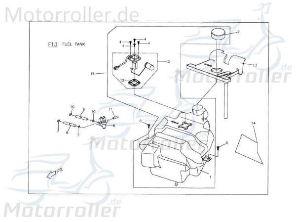 PGO Schlauchschelle T-Rex 50 Klemme Spannring 50ccm 2Takt Motorroller.de Schlauchklemme Clip Klemmschelle Schlauchbinder Klemm-Schelle PGO 50ccm-2Takt