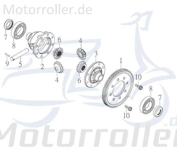 Kreidler F-Kart 100 Passstift 100ccm 2Takt 94430-30022-K Motorroller.de 3x22mm Passbolzen Passwelle Paßstift F-Kart 170 Ersatzteil Service Inpektion