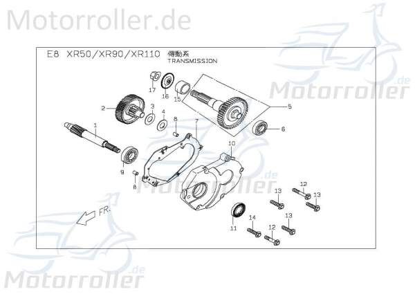 PGO Antriebsritzel 19 Zähne X-RIDER 150 Quad ATV 150ccm 4Takt Motorroller.de Antriebsrad Antriebritzel Antriebszahnrad Antriebs-Ritzel Antrieba-Rad