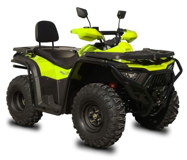 Quad Fighter 300 B-S grün Stahlfelgen ATV mit Straßenzulassung