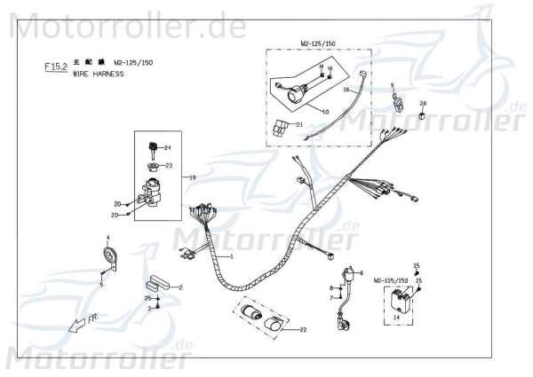 PGO Kabelbaum G-Max 50 Kabelsatz Stromverteiler 50ccm 2Takt Motorroller.de Strom-Verteiler Kabel-Set Kabelbündel Kabel-SatzKabelbaumverteiler Scooter