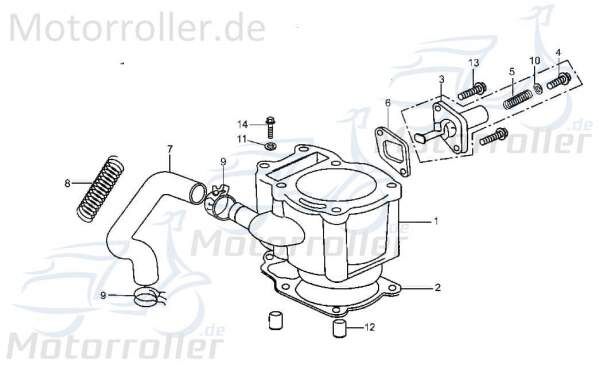 Feder Kettenspanner Tongjian Strassenbuggy 250 152MI-023002 Motorroller.de Eppella ECM TBM Twister Hammerhead Wangye Kasea Buggy