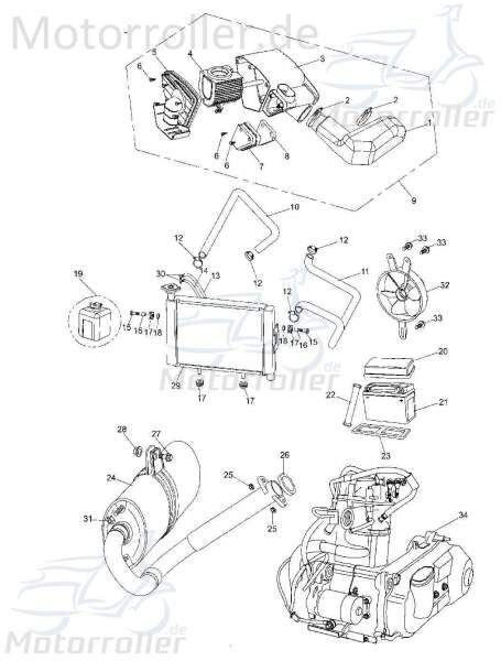 Wasserkühler Tongjian Strassenbuggy 250 Sport 250ccm 4Takt Motorroller.de 250ccm-4Takt Straßenbuggy 250 Ersatzteil Service Inspektion Direktimport