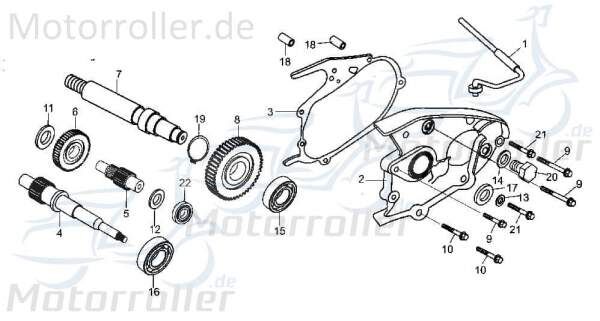 Bundschraube M6x32mm Tongjian Maschinenschraube 250ccm 4Takt Motorroller.de Flanschschraube Flansch-Schraube Maschinen-Schraube Bund-Schraube Buggy