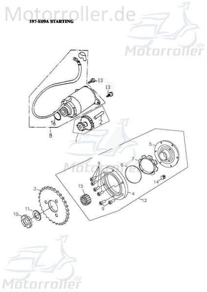 Adly Starterzahnrad GK 125 Starterritzel / Buggy 125ccm 4Takt Motorroller.de Starterrad 152QMI Ersatzteil Service Inpektion Direktimport