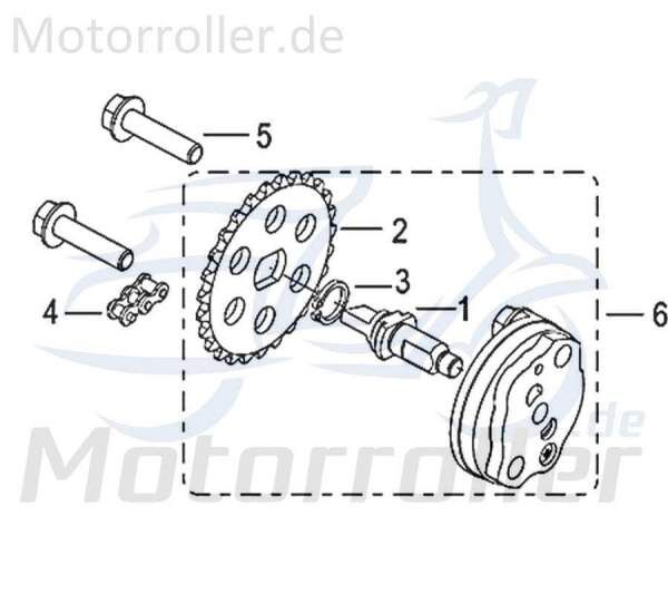 Kreidler Insignio 125 2.0 Schraube 125ccm 4Takt 750138 Motorroller.de M6x25mm Bundschraube Maschinenschraube Flanschschraube Flansch-Schraube Scooter