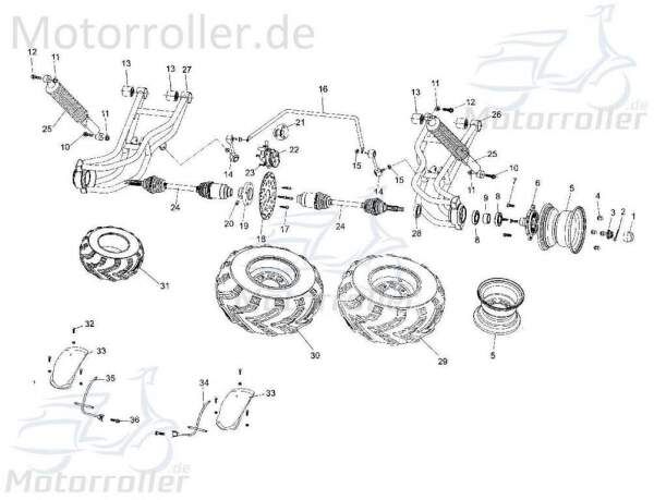 Radnabe hinten Shark Tongjian 649 Motorroller.de