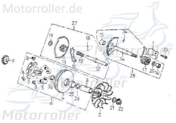 Adly Kickstarterritzel GK 125 Antriebsritzel 125ccm 4Takt Motorroller.de Kickstarter-Ritzel Kickstarter-Mitnehmer Kickstarterantriebsrad 152QMI Buggy