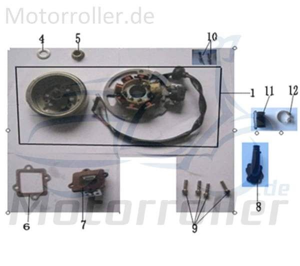 Kreidler Galactica 3.0 50 LC RS Lichtmaschine 741252 Motorroller.de Generator Stromerzeuger 50ccm 2Takt Scooter Florett 2.0 2.1 RS 50 Ersatzteil