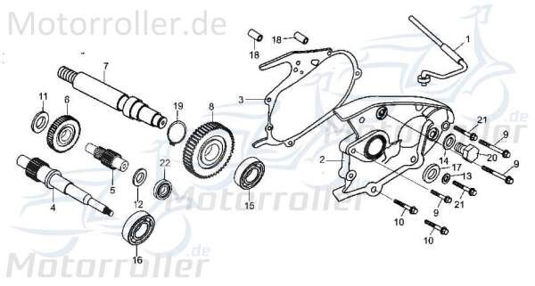 Schraube M6x32mm Eppella Buggy 250ccm FIG.-E14-NO.-14 Motorroller.de Bundschraube Maschinenschraube Flanschschraube Flansch-Schraube Service