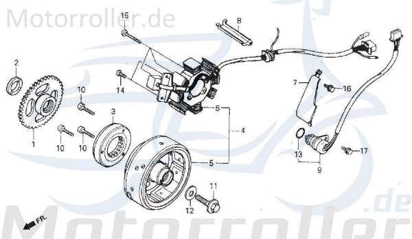 Lichtmaschine Daelim VS 125 Stator Ankerplatte 125ccm 4Takt Motorroller.de Anker-Platte Stromerzeuger Strom-Generator Licht-Maschine Zündplatte