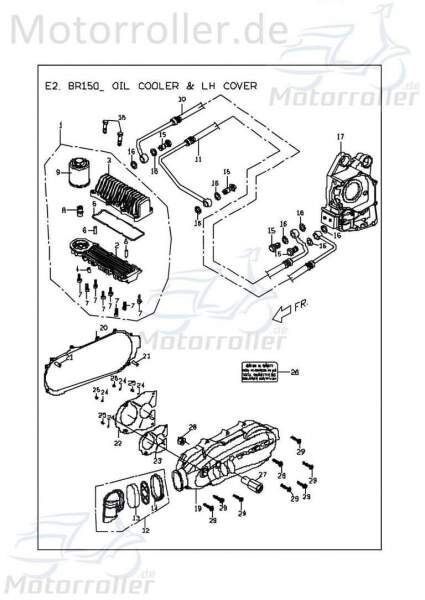 PGO Bundschraube M5x75mm Star 50 Flanschschraube 50ccm 2Takt Motorroller.de Maschinenschraube Flansch-Schraube Maschinen-Schraube Bund-Schraube