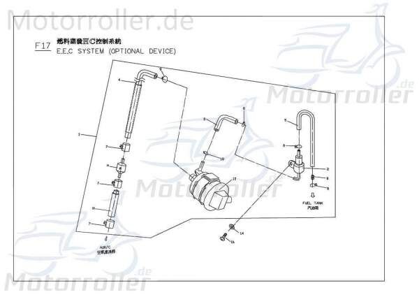 PGO Behälter Sekundärluftsystem Roller Motorroller.de PGO M2524060000 Scooter G-Max 50 125 Ersatzteil Service Inpektion Direktimport