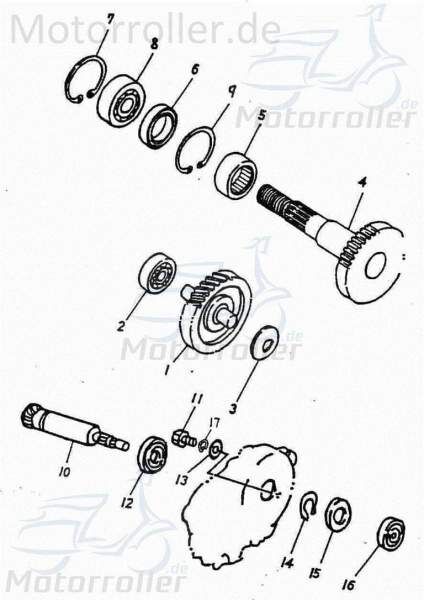 Adly RT 50 Road Trace Getriebeausgangswelle 50ccm 2Takt 23430-116-0C0 Motorroller.de 39/36 Zähne gerade verzahnt Endantrieb Zwischenwelle Motorrad