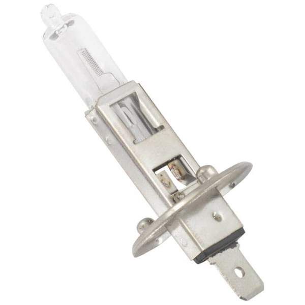 Scheinwerferbirne Halogen H1 12V 55W Sockel P14, 5S 543969 Motorroller.de Halogenleuchte Halogenglühlampe Scheinwerferlampe Glühbirne Leuchtmittel CPI